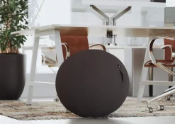 Alba Ergonomische zitbal MHBALL N Stof Zwart
