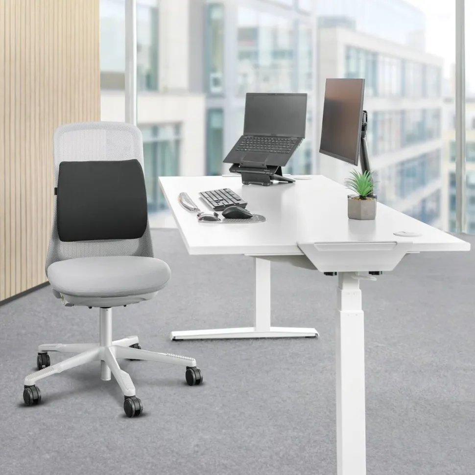 Breyta Comfort Lendekussen 100119852 380 x 90 x 330 mm Zwart