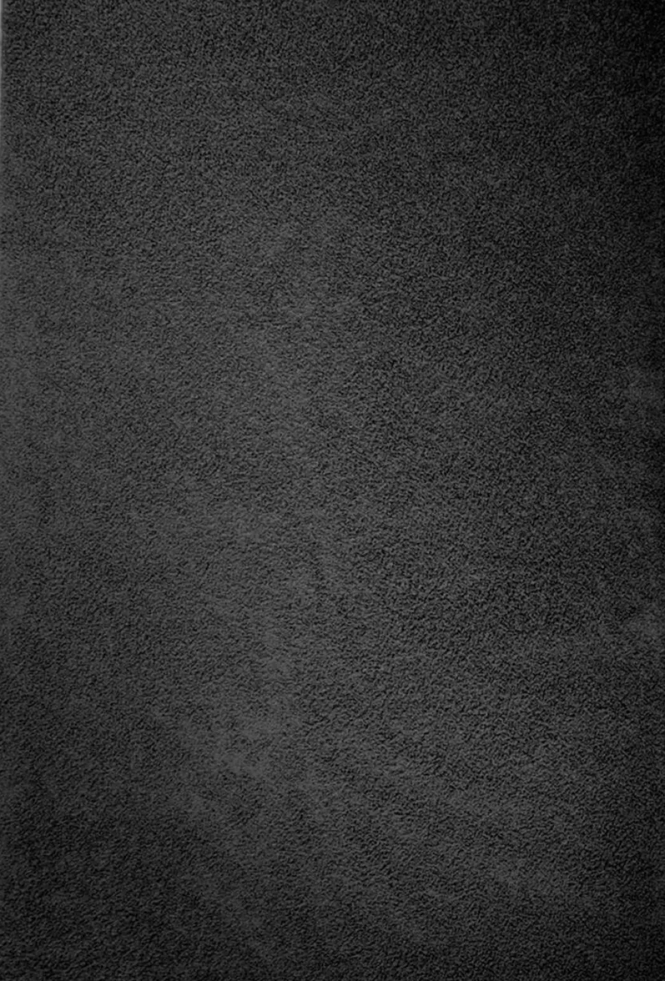 Casa Pura Vloerkleed 1600 x 2300 mm Zwart