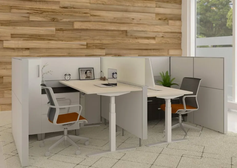 Ceha Adjust 2 Plus Elektrisch hoogteverstelbaar Zit-sta-bureau Rechthoekig Wit Eiken T-Voet 2,000 (B) x 800 (D) x 1,300 (H) mm Melamine, metaal