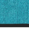 Color Your Life Schoonloop Mat Rhine Turquoise 1200 x 1800 mm