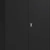 Draaideurkast Zwart 1.200 x 420 x 1.950 mm