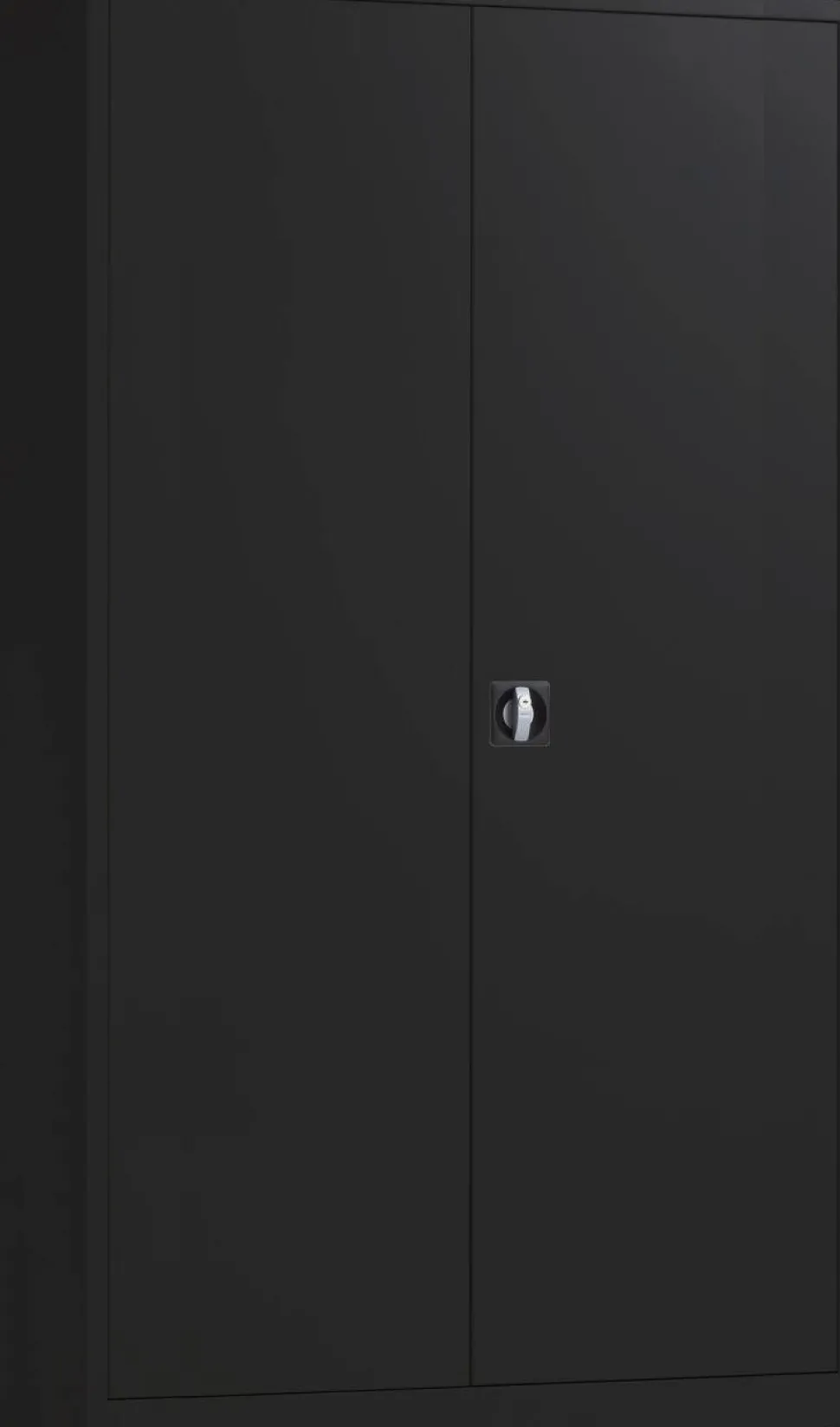Draaideurkast Zwart 1.200 x 420 x 1.950 mm