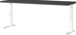 GERMANIA Hoogteverstelbaar Zit-sta-bureau Metaal, spaanplaat Wit C-Voet 1,800 x 800 x 910 mm