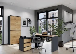 GERMANIA kadeblok 4264-549 GW-Lissabon donkergrijs, lichtbruin, eiken 410 x 500 x 600 mm