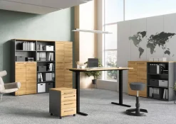 GERMANIA Melamine Draaideurkast Afsluitbaar 800 x 400 x 1.970 mm Bruin, grafiet