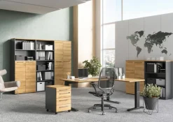 GERMANIA Melamine Draaideurkast Afsluitbaar 800 x 400 x 1.970 mm Bruin, grafiet