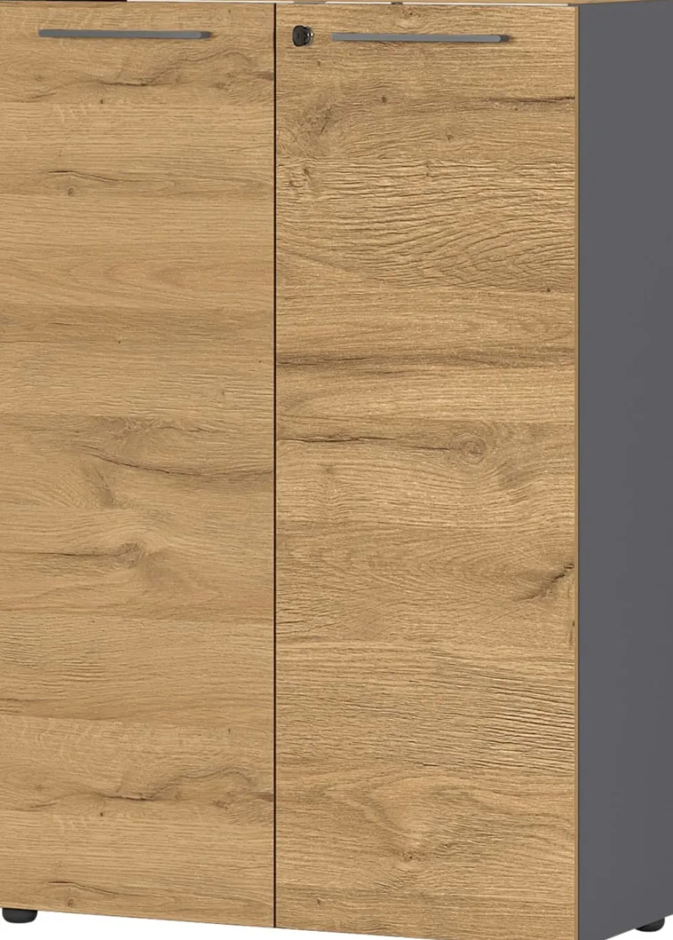 GERMANIA Melamine Draaideurkast Afsluitbaar 800 x 400 x 1.200 mm Bruin, grafiet