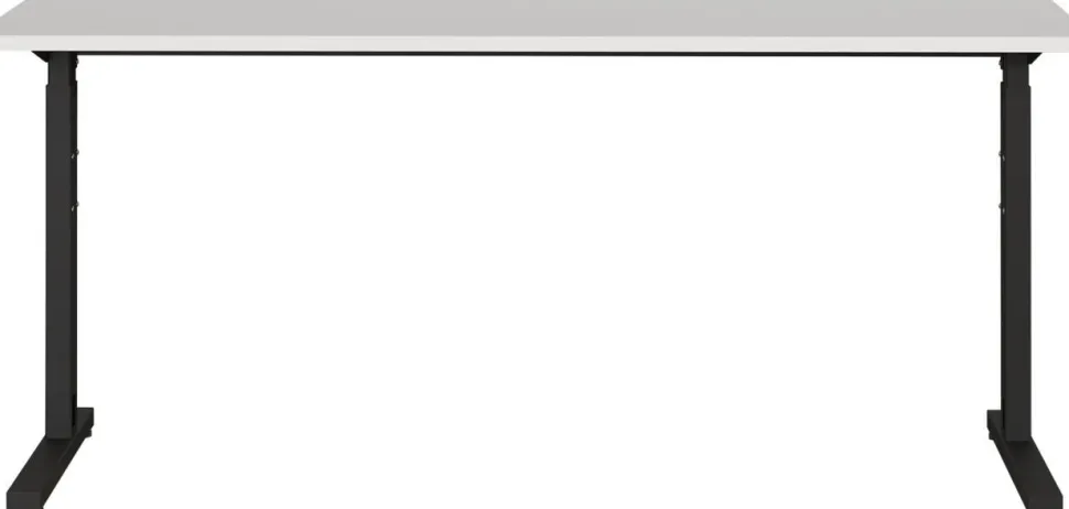 GERMANIA PROFI 2.0 In hoogte verstelbaar Bureau Lichtgrijs 1.600 (B) x 800 (D) x 800 (H) mm
