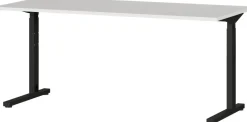 GERMANIA PROFI 2.0 In hoogte verstelbaar Bureau Lichtgrijs 1.600 (B) x 800 (D) x 800 (H) mm
