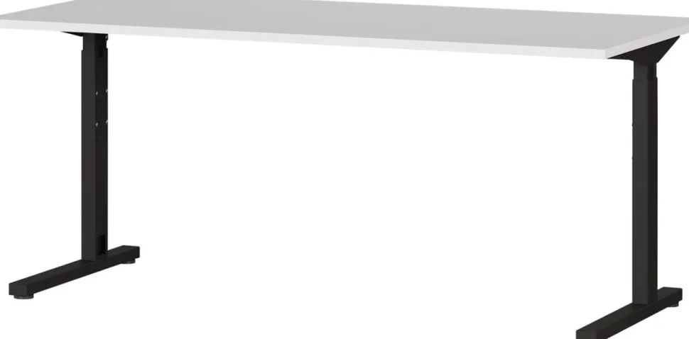 GERMANIA PROFI 2.0 In hoogte verstelbaar Bureau Lichtgrijs 1.600 (B) x 800 (D) x 800 (H) mm