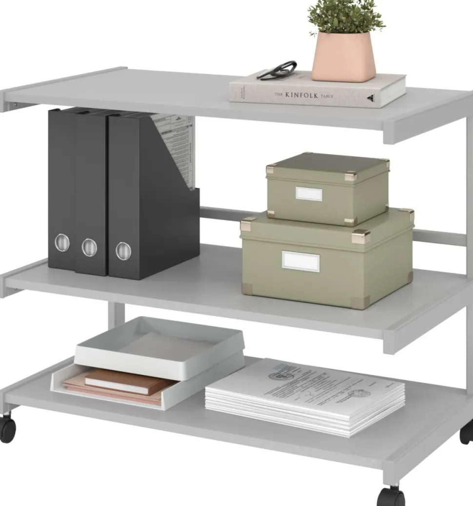 Hammerbacher Trolley Lichtgrijs Gemelamineerde spaanplaat, Staal 18B3/5 805 x 430 x 670 mm