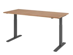 Hammerbacher VXMKA Elektrisch hoogteverstelbaar Zit-sta-bureau Walnoot C-Voet 1,800 (B) x 800 (D) x 1,200 (H) mm Spaanplaat, Staal