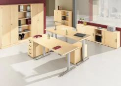 Hammerbacher Zit-sta bureau Ergonomic Aktiv XDSM Esdoorn 1.600 x 800 x 635 mm