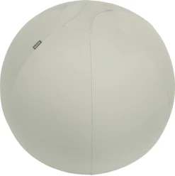 Leitz Ergo Actieve Zitbal 6542 Anti-rol design Handvat Wasbare hoes 65 cm tot 150 kg Lichtgrijs