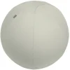 Leitz Ergo Actieve Zitbal 6543 Anti-rol design Handvat Wasbare hoes 75 cm tot 150 kg Lichtgrijs