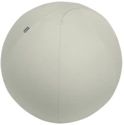 Leitz Ergo Actieve Zitbal 6543 Anti-rol design Handvat Wasbare hoes 75 cm tot 150 kg Lichtgrijs