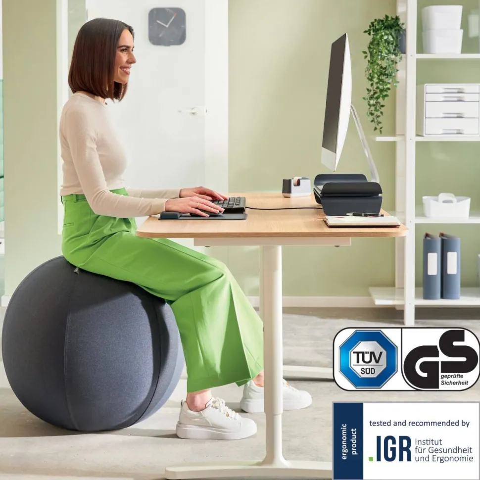 Leitz Ergo Actieve Zitbal 6543 Anti-rol design Handvat Wasbare hoes 75 cm tot 150 kg Donkergrijs