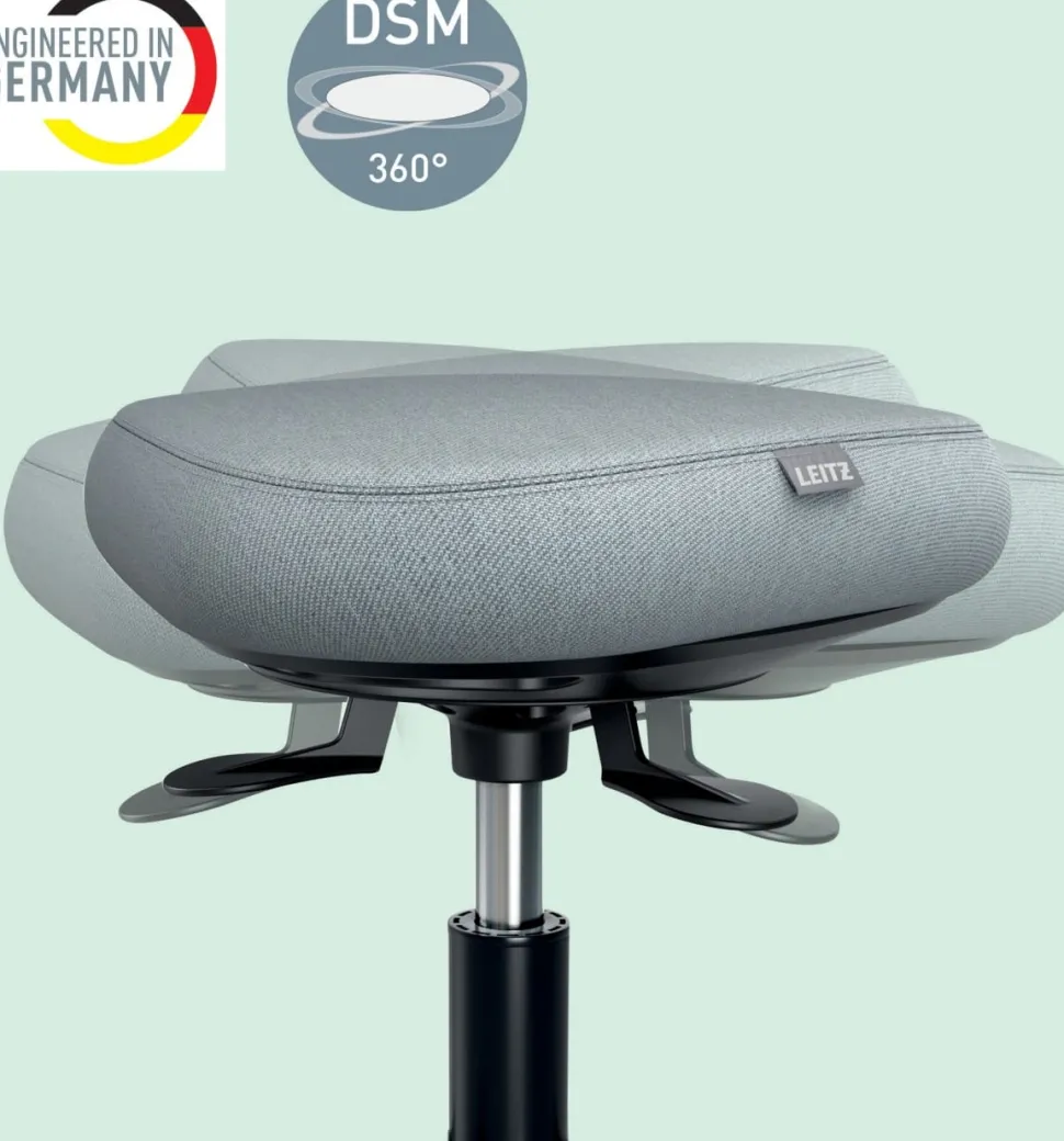 Leitz Ergo Actieve Zitkruk 6577 Ergonomische met Wieltjes en Comfort Wiebelkussen, Grijs, zwart