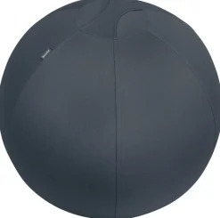 Leitz Ergo Cosy Actieve zitbal 5279 met handvat en wasbare hoes 65 cm tot 100 kg grijs