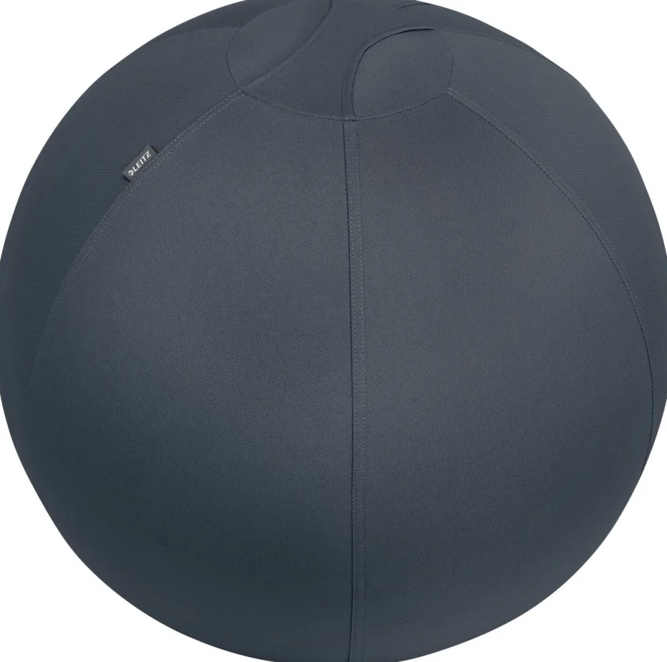 Leitz Ergo Cosy Actieve zitbal 5279 met handvat en wasbare hoes 65 cm tot 100 kg grijs