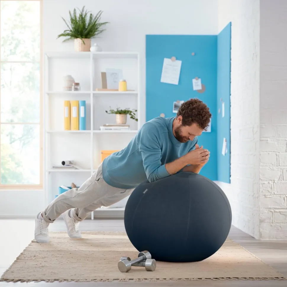 Leitz Ergo Cosy Actieve zitbal 5279 met handvat en wasbare hoes 65 cm tot 100 kg grijs