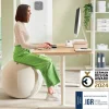 Leitz Ergo Ergonomische zitbal 6541 Stopfunctie Draaggreep Wasbaar 55 cm Tot 120 kg Lichtgrijs
