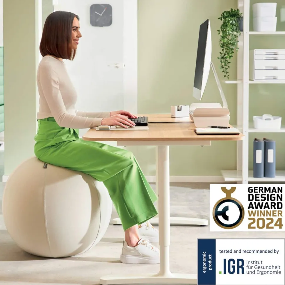 Leitz Ergo Ergonomische zitbal 6541 Stopfunctie Draaggreep Wasbaar 55 cm Tot 120 kg Lichtgrijs
