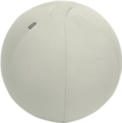 Leitz Ergo Ergonomische zitbal 6541 Stopfunctie Draaggreep Wasbaar 55 cm Tot 120 kg Lichtgrijs