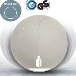 Leitz Ergo Ergonomische zitbal 6541 Stopfunctie Draaggreep Wasbaar 55 cm Tot 120 kg Lichtgrijs