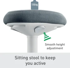 Leitz Ergo Wiebel zitkruk 6544 met verstelbare comfortzitting 47 - 64 cm tot 110 kg lichtgrijs