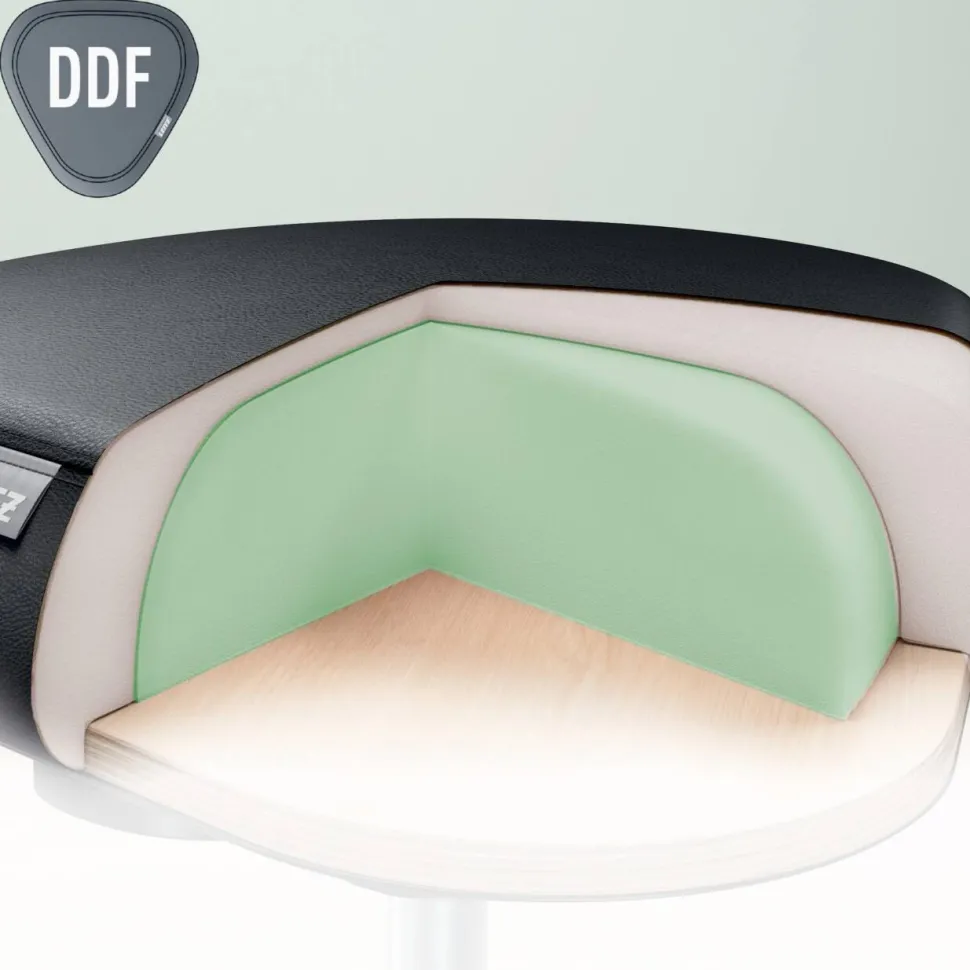 Leitz Ergo Zitkruk 6578 Ergonomische met Wieltjes en Comfortzitting verstelbare, Zwart