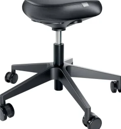 Leitz Ergo Zitkruk 6578 Ergonomische met Wieltjes en Comfortzitting verstelbare, Zwart