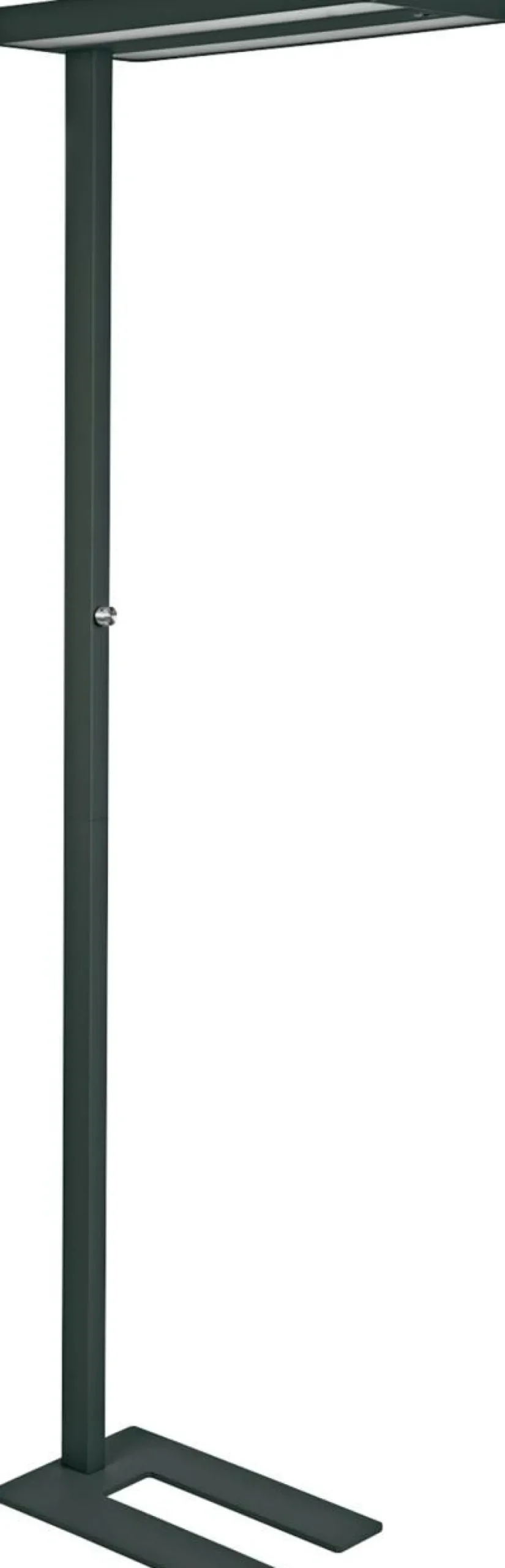 Maul MAULjuvis Vloerlamp Led (verwijderbaar) Zwart Netstroom 280 x 610 x 1.960 mm