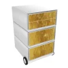 Paperflow Easybox Mobiel ladeblok met 4 lades 642x390x436 mm Gold Design