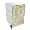 Paperflow Easybox Mobiel ladeblok met 4 lades 642x390x436 mm Art Deco - Rising Sun Design
