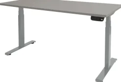 Schaffenburg Dextro Plus Zit-sta-bureau Rechthoekig T-Voet 1.800 (B) x 800 (D) x 645 (H) mm Melamine
