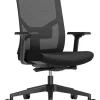 Schaffenburg 110-EN Ergonomische stoel Synchroonmechanisme Gaas, stof In hoogte verstelbare armleuning en zitting Zwart 130 kg 580 x 668 x 1044