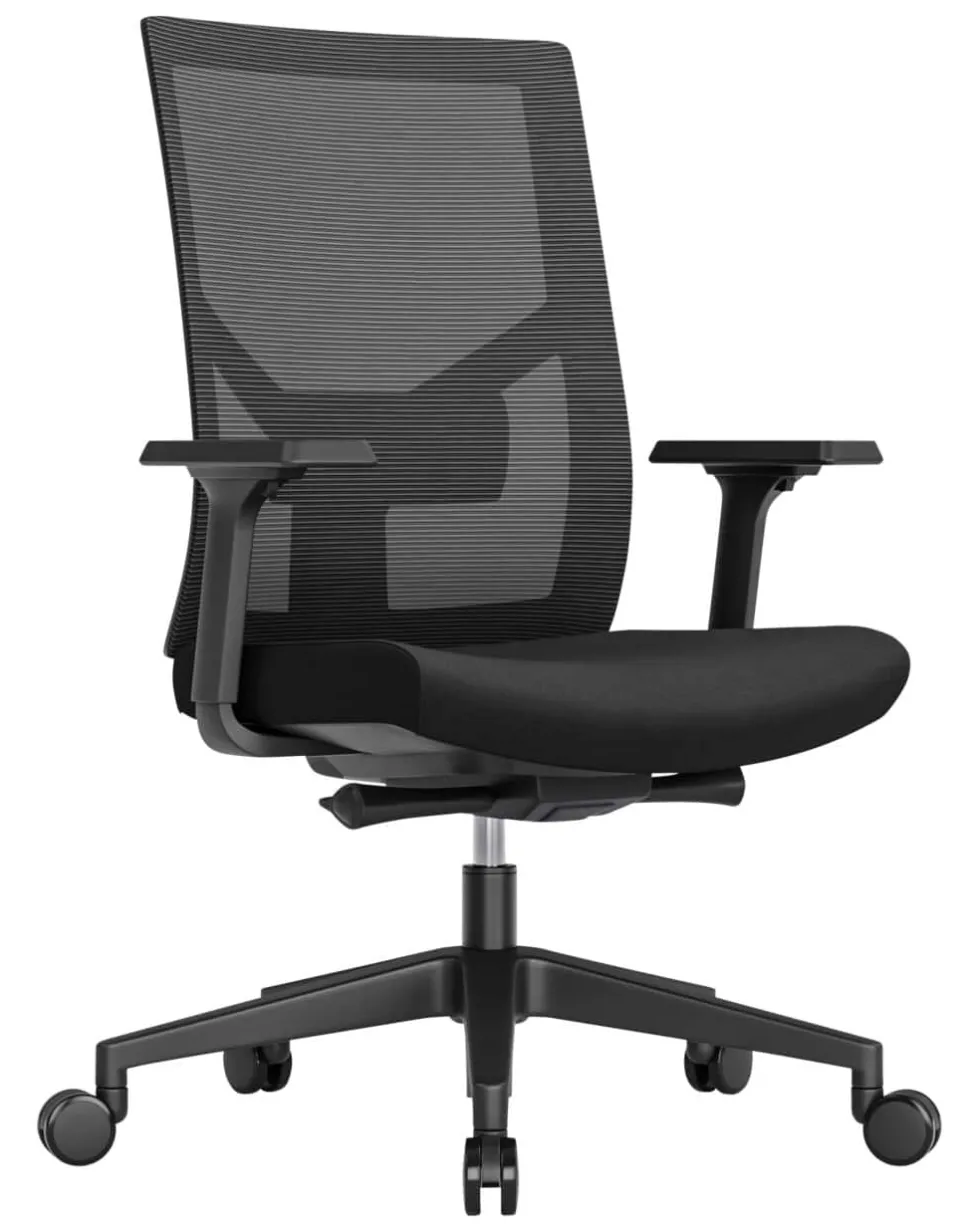 Schaffenburg 110-EN Ergonomische stoel Synchroonmechanisme Gaas, stof In hoogte verstelbare armleuning en zitting Zwart 130 kg 580 x 668 x 1044