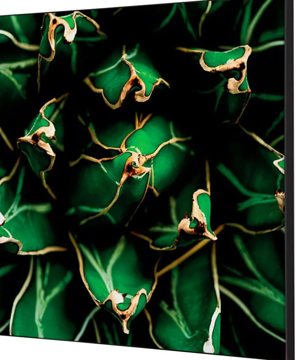 SHOWDOWN Cactus Textielen Wanddecoratie Multikleur Aluminium
