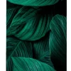 SHOWDOWN Deco Scheidingswand Aluminium Groen 1.020 x 450 x 2.020 mm