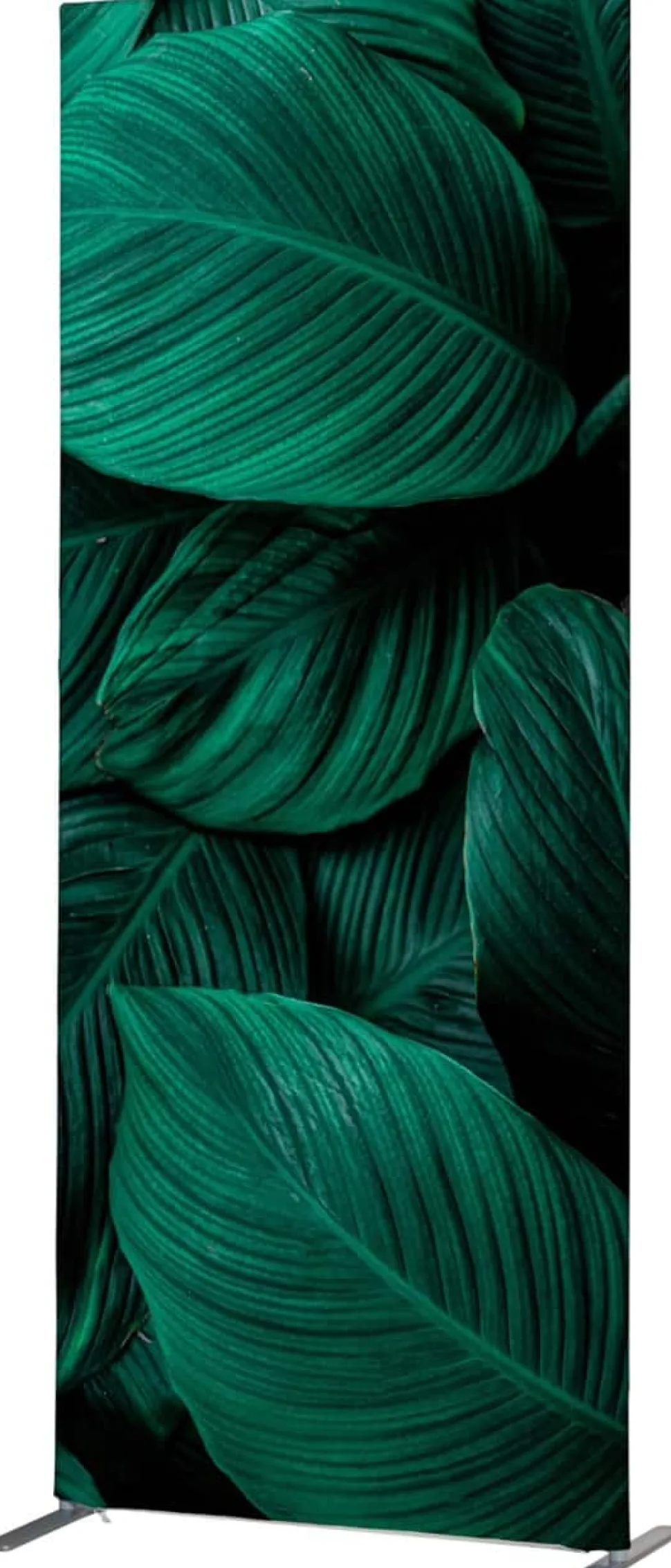 SHOWDOWN Deco Scheidingswand Aluminium Groen 870 x 450 x 2.020 mm