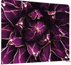 SHOWDOWN EU Scheidingswand Aluminium Paars 1.500 x 450 x 1.500 mm