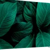 SHOWDOWN EU Scheidingswand Aluminium Groen 1,500 x 1,500 x 450 mm