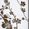 SHOWDOWN Japanese Blossom Textielen Wanddecoratie Multikleur Aluminium