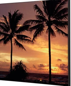 SHOWDOWN Palmtrees Sunset Textielen Wanddecoratie Multikleur Aluminium