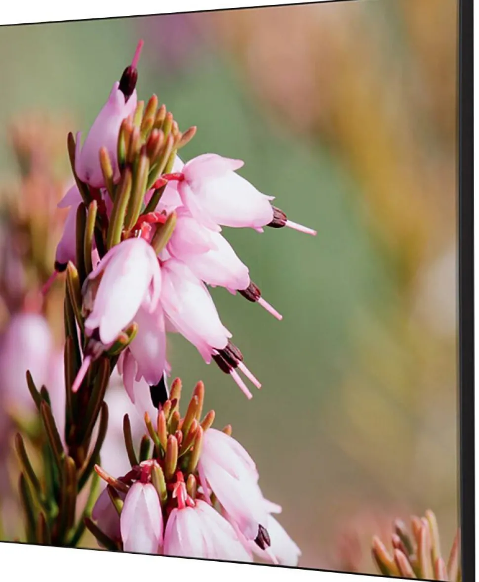 SHOWDOWN Pink Flower Textielen Wanddecoratie Multikleur Aluminium