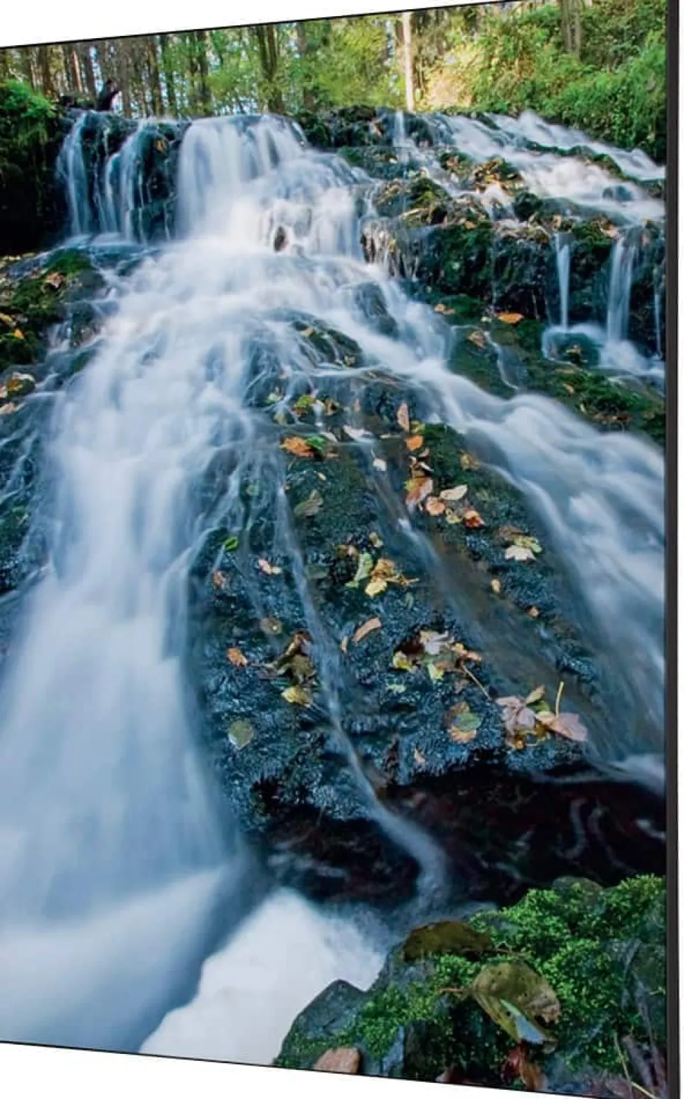 SHOWDOWN Waterspring Forest Textielen Wanddecoratie Multikleur Aluminium