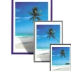Viking Speciaal Fotolijst Grijs Aluminium 3610179 70 (B) x 50 (H) cm 978910 2 Stuks