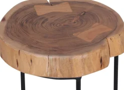 WOHNLING Bijzettafel Bruin 280 x 280 x 550 mm